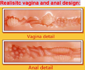 BodyTorsos/VaginalAnalDetail.jpg