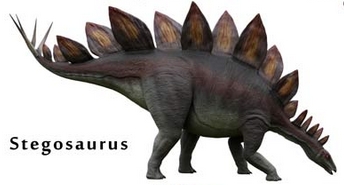 CockAndBalls/Stegosaurus.jpg